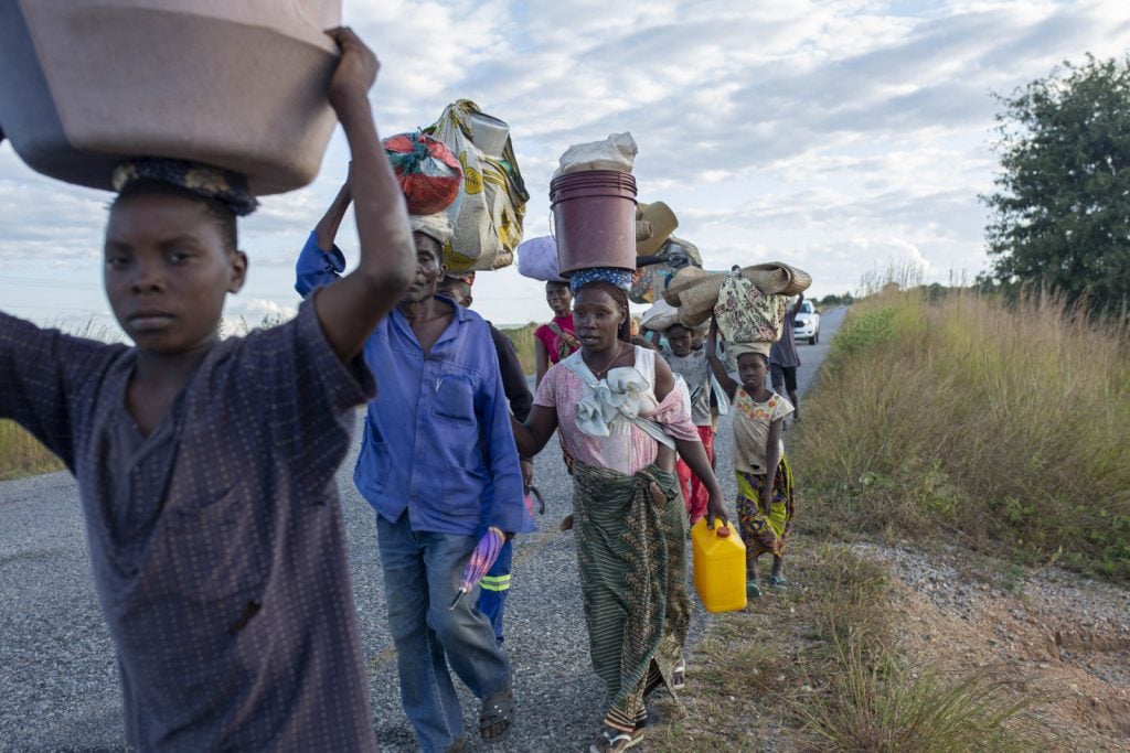 Mozambique: Collapse of cotton may unravel fragile social fabric of Cabo Delgado
