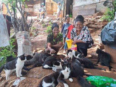 Bluff Cat Lady