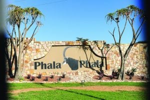 Phala Phala: The power and the peril of judicial review