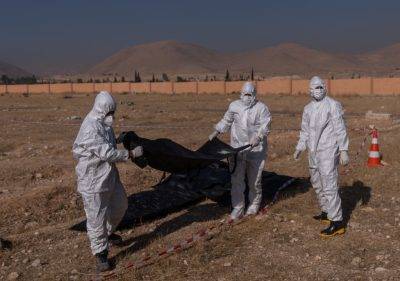 Syria: A rose for every Martyr