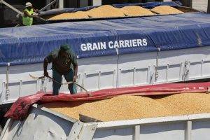 Grain Exports