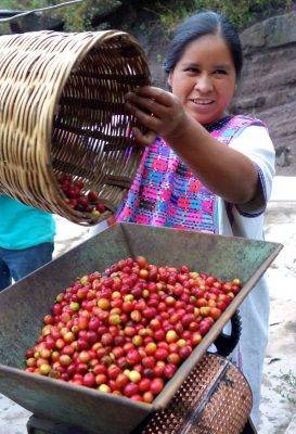 Coffee prices will probably stay high due to the drought in Brazil