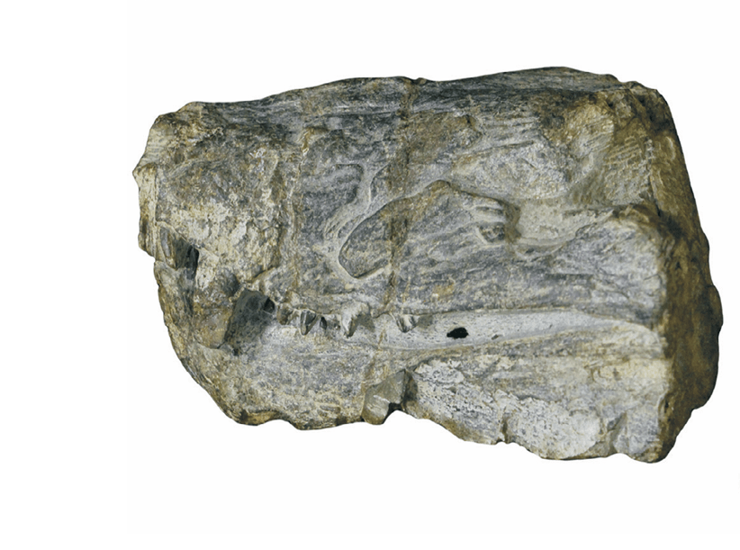Figure1(1)
